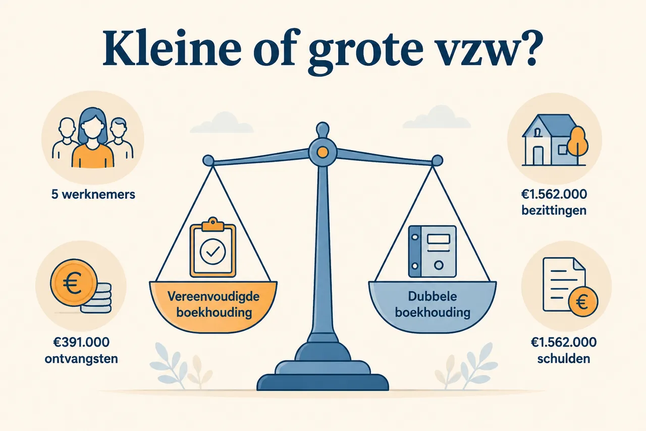 De criteria: kleine of grote vzw